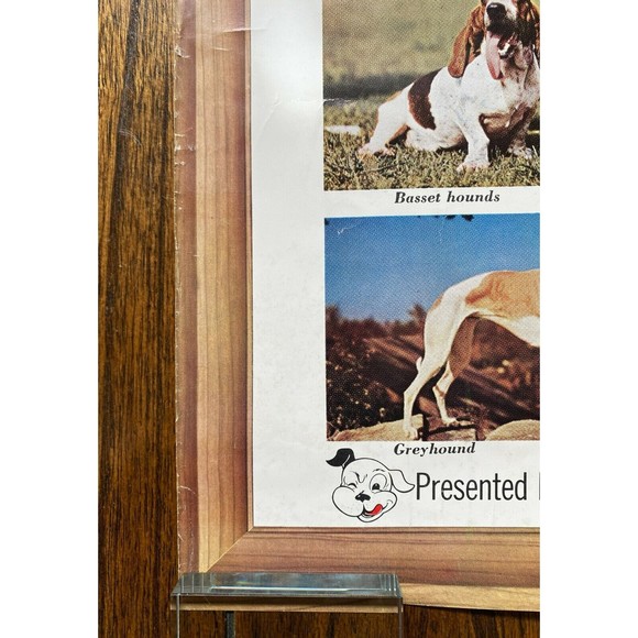 Friskies 18 Hunting Dogs Poster Outdoor Life Photos VINTAGE (20) - Picture 4 of 7